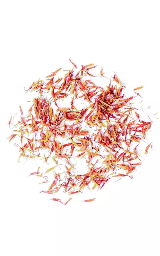 Krokosz barwierski kwiat