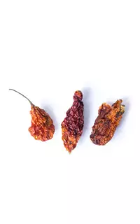 Papryka chilli NAGA JOLOKIA